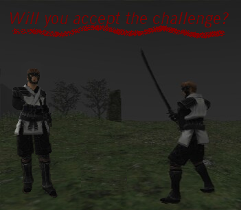 Nin duel (315K)